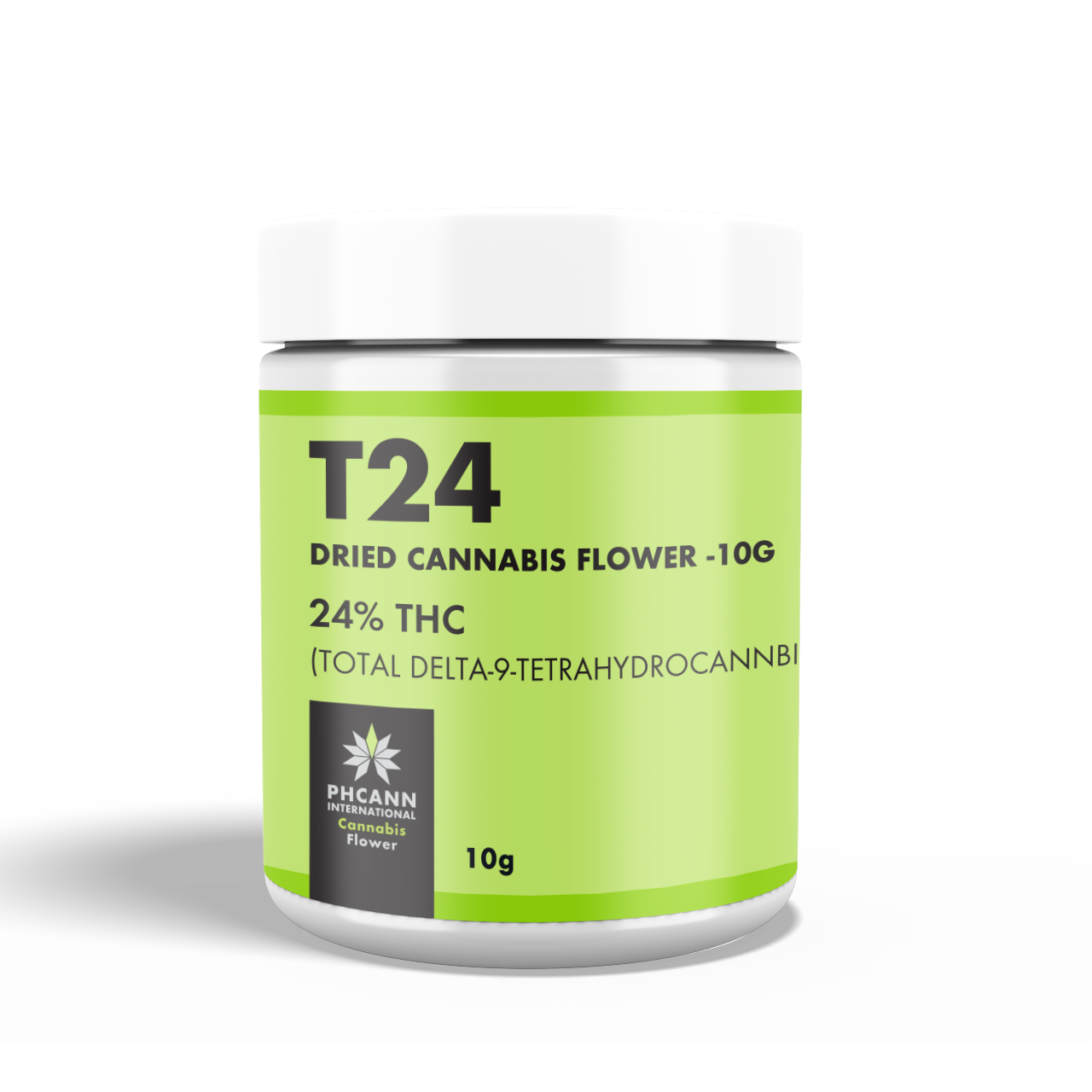 T-24