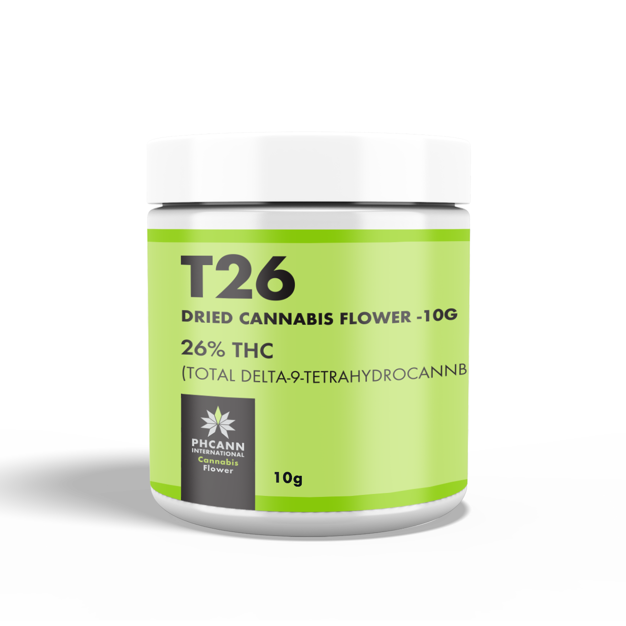 T-26